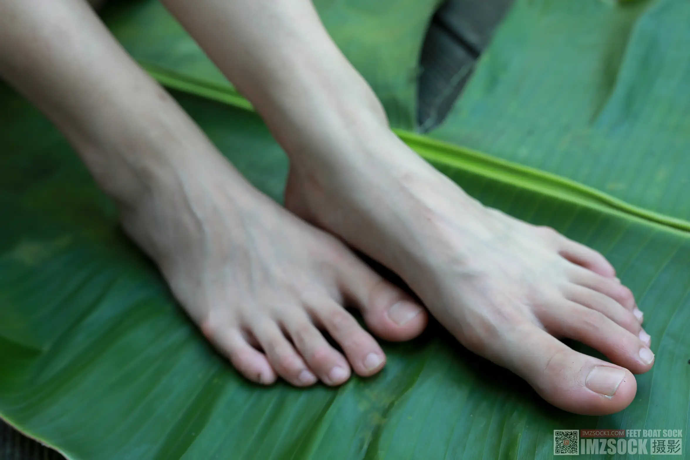 [Mzsock] Love beautiful feet NO.119 cocoa#[74P]-73